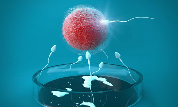(三代代生宝宝男孩)代生孕妇同型半胱氨酸高，关注与应对的必要性